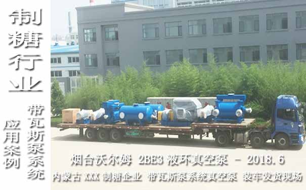 水环式真空泵图片-2018.6内蒙古某制糖企业带瓦斯泵系统的2BE3液环真空泵案例