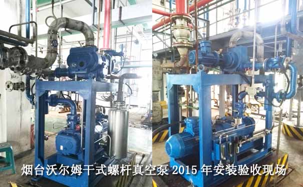 烟台沃尔姆干式螺杆真空泵2015验收现场-四川某化工SDP300项目案例图片2