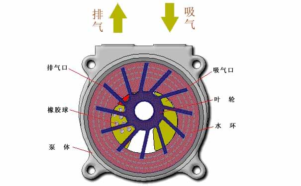 水环真空泵的工作原理是什么_水环真空泵的工作原理图