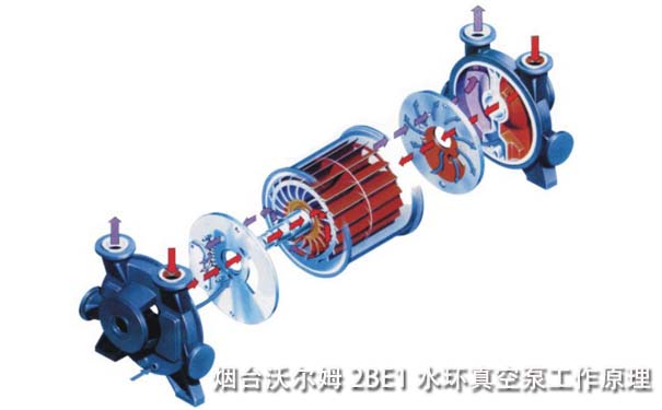 2BE1水环真空泵工作原理-烟台沃尔姆水环式真空泵生产厂家