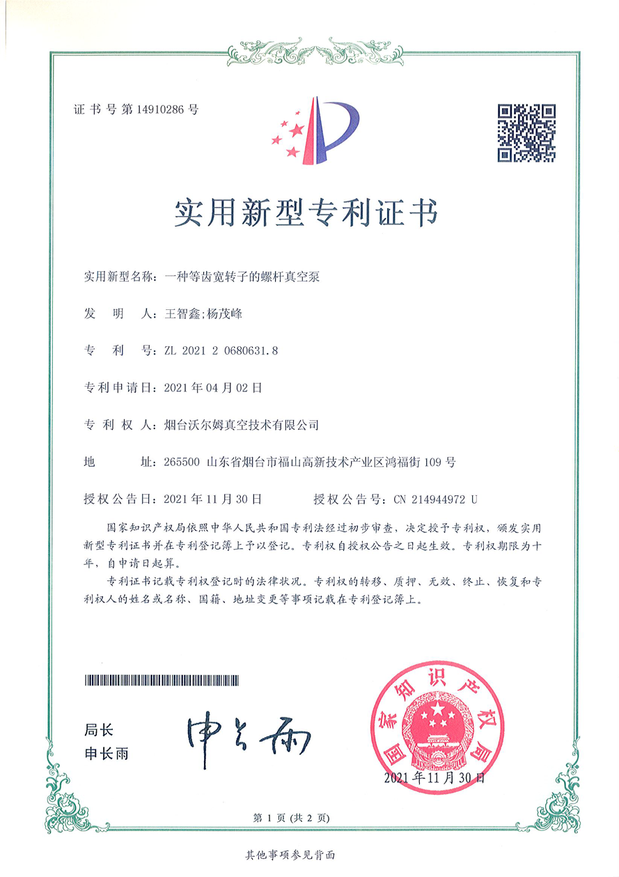一种等齿宽转子的螺杆真空泵