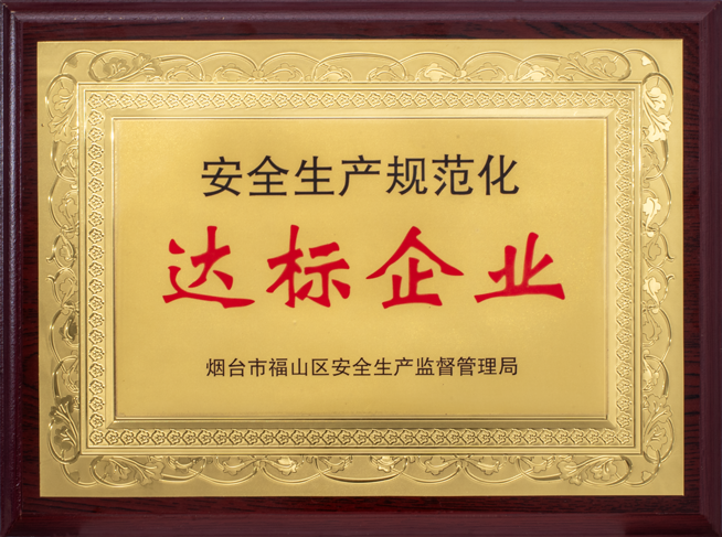 安全生产规范化达标企业