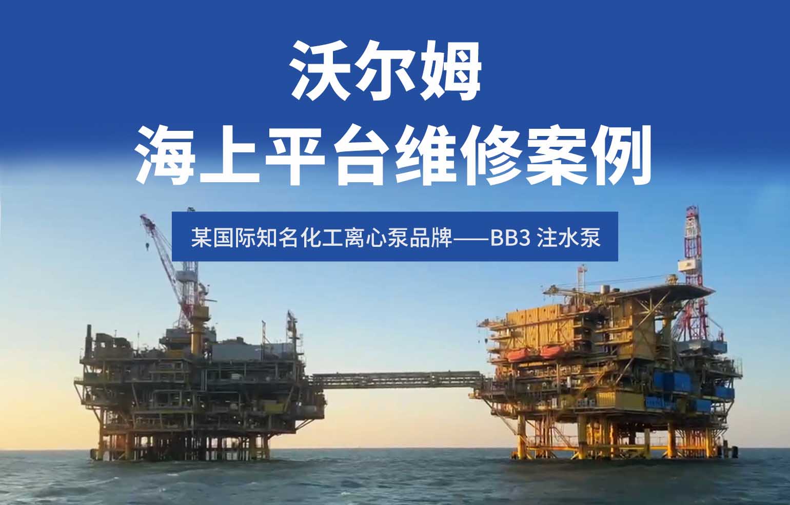 BB3 注水泵振动超标修复案例-沃尔姆精准检修让近 20 年老泵性能全面焕新