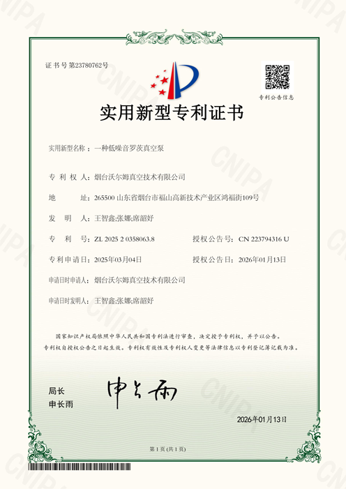 一种低噪音的罗茨真空泵